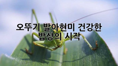 오뚜기 발아현미: 건강한 밥상의 시작