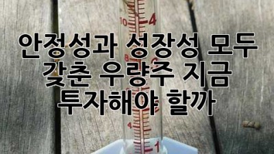 안정성과 성장성 모두 갖춘 우량주, 지금 투자해야 할까? 🚀